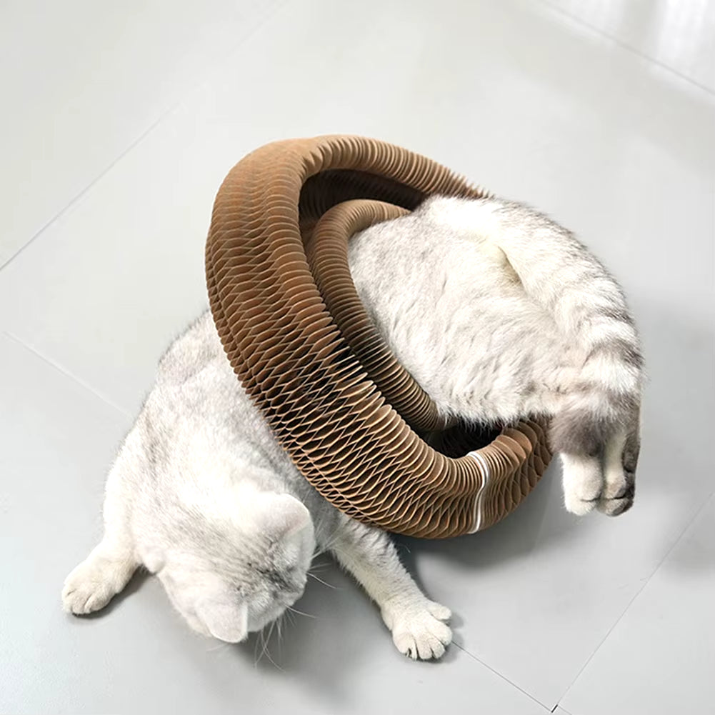 PurrfectScratch Magic Organ Cat Scratching Board – Interactive Claw Grinder & Fun Toy for Cats